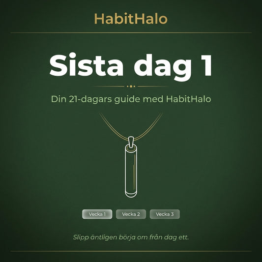 21-Dagars Startguide E-Bok
